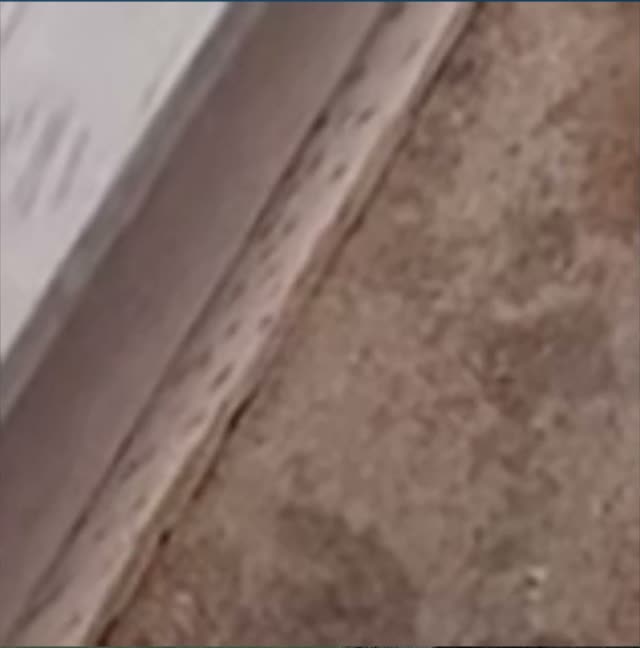 Knowbooks Sneak Peek